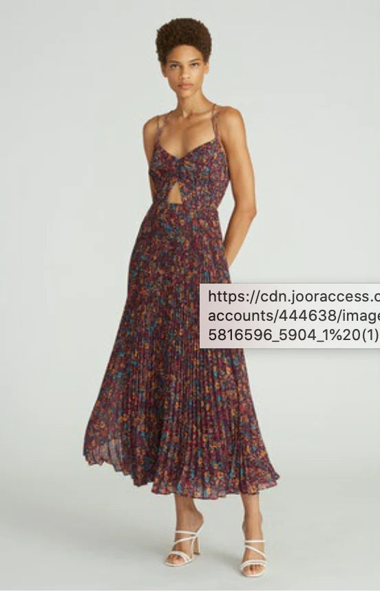 Amur Lucy Dress in Deep Magenta Garden Floral